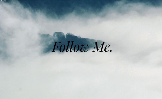 follow-me